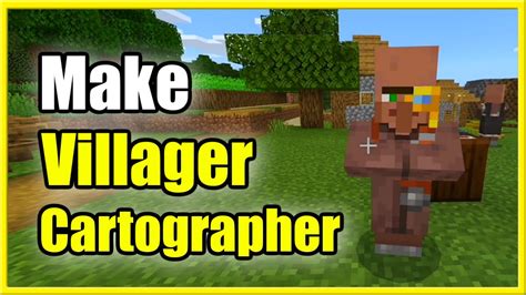 cartographer villager.